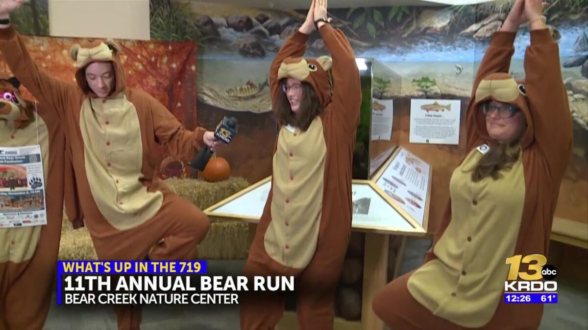 If you see a ‘bear’ in Bear Creek Nature area November 8th