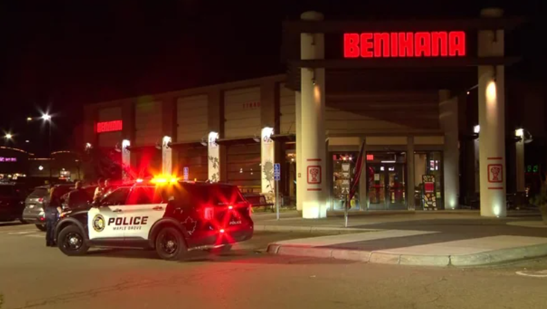 Police in Maple Grove