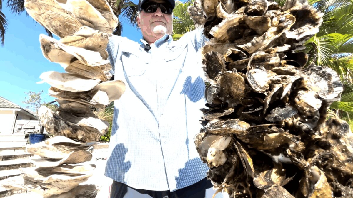 A new recycling and restoration program led by the Palm Beach County Fishing Foundation is giving oyster shells from The Breakers and Cod & Capers Seafood a second life by helping restore lagoon.