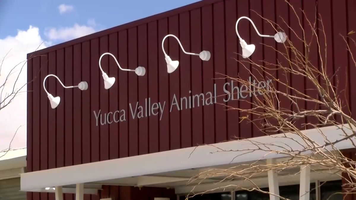 Yucca Valley appoints Shianne May as new Animal Care and Control Manager