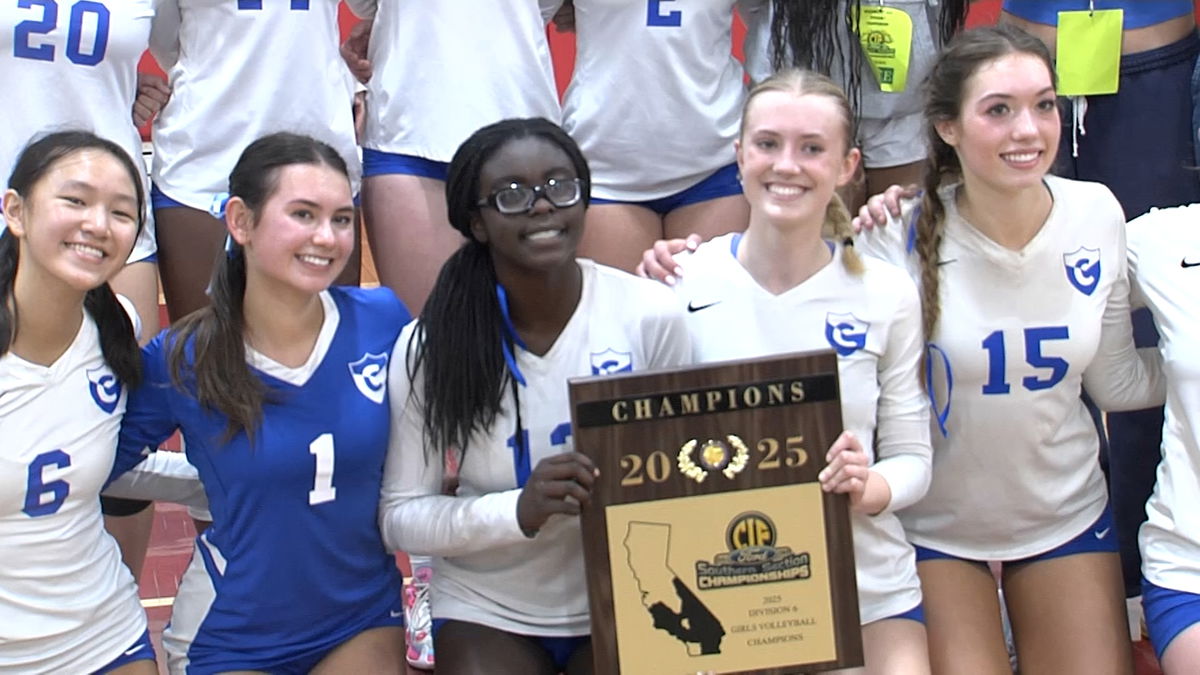 Opawumi named CIF-SS D7 Player of the Year headlines several local volleyball honors