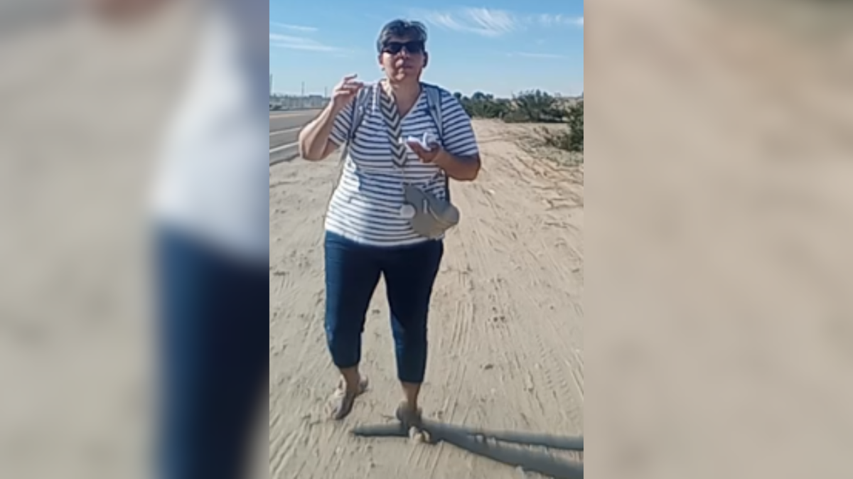 Missing Person: Daniela Lloyd