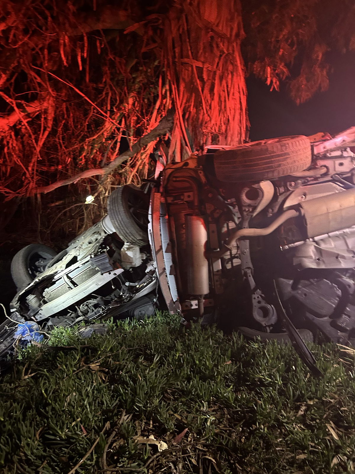 One killed after car crash into a tree