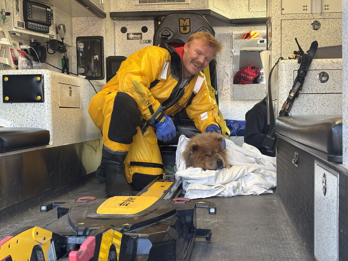 Dog rescued from Columbia pond after falling through ice