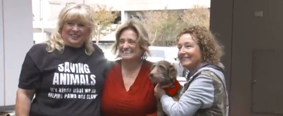 A Sacramento County dog picked up thousands of miles from home after he went missing five years ago was reunited with his family on Wednesday.
