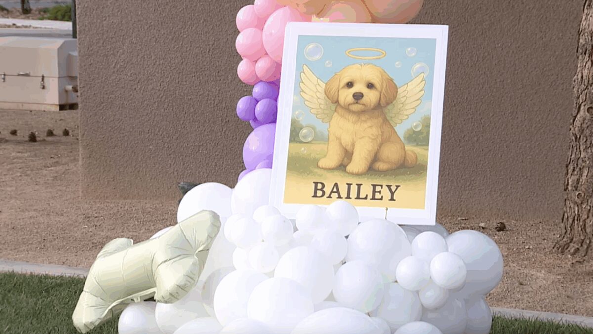 A vigil for Bailey