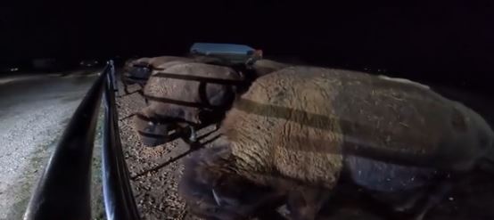 Shawn Neu and his wife