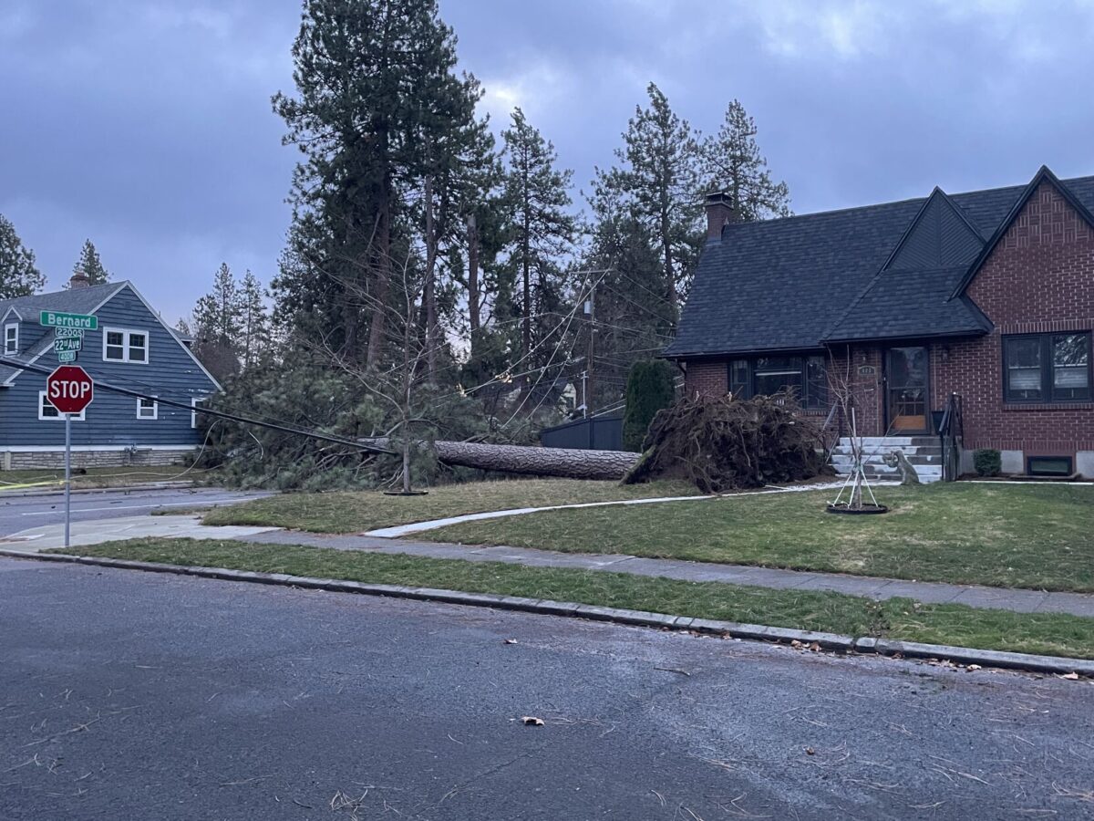 The National Weather Service reported gusts of 84 miles per hour at the Pullman/Moscow Airport