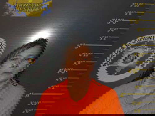 Stover woman accused of assaulting youth