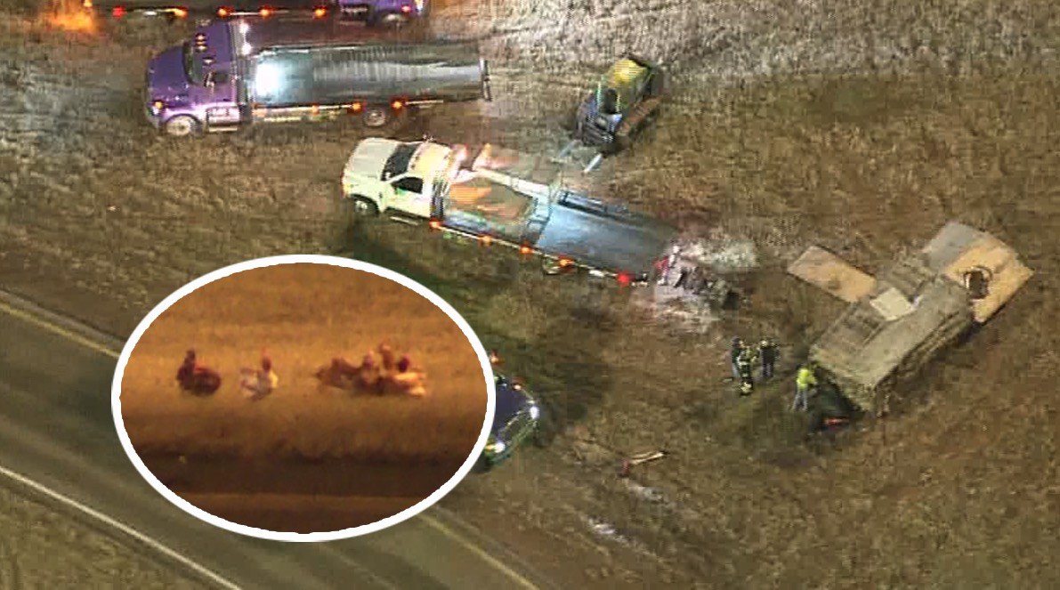 Oklahoma Highway Patrol officials confirmed that troopers shot chickens that got loose following a crash on an Interstate 240 ramp on December 22 morning in OKC.