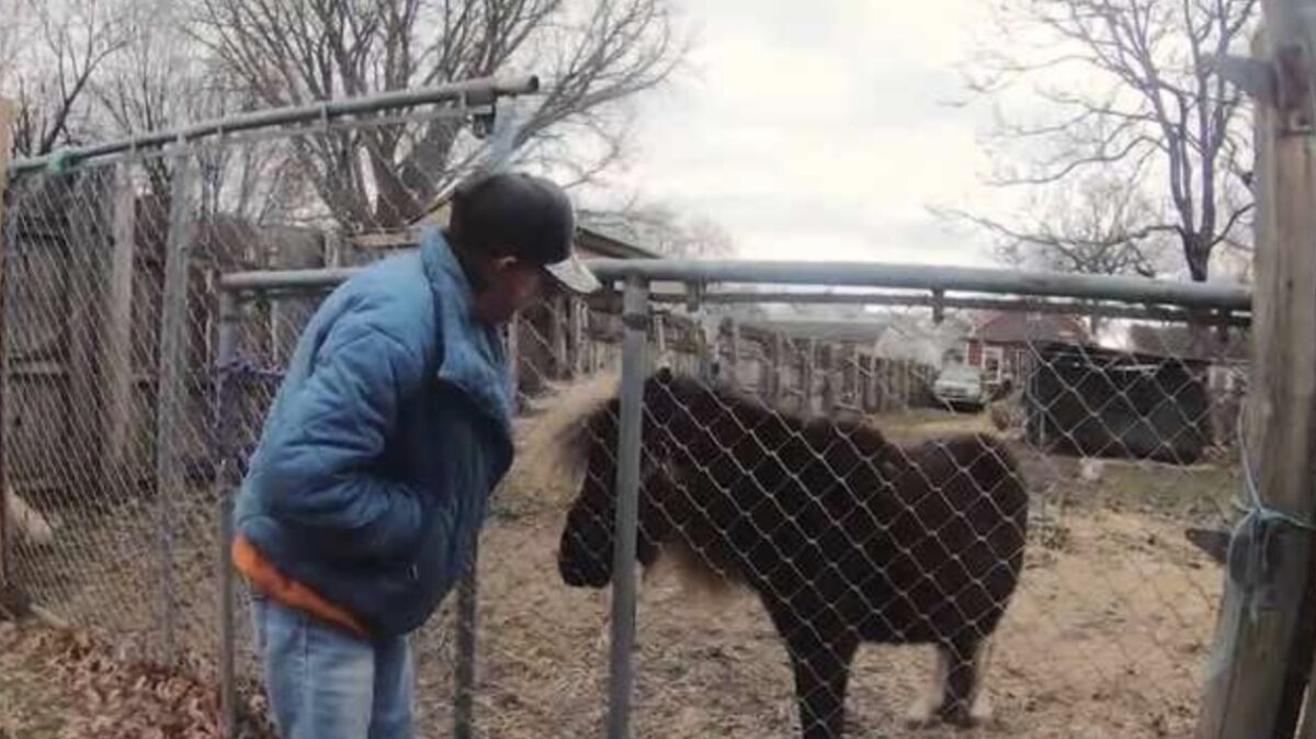 A Louisville woman’s effort to keep her miniature horse