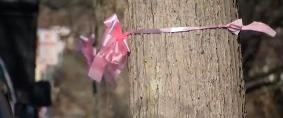 Mourners on Long Island wore pink to honor 18-year-old Emily Finn