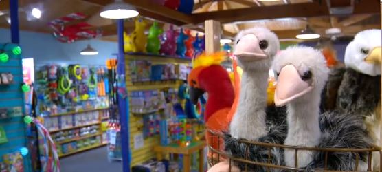 The holidays are upon us