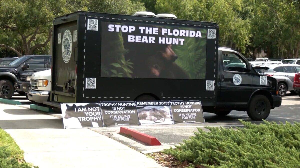 For the first time in more than a decade