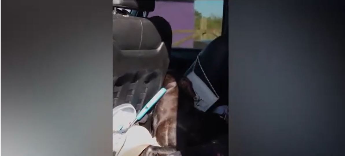 The Okeechobee County Sheriff's Office wants people to see the dangers of leaving someone in a locked vehicle — even when it's November.