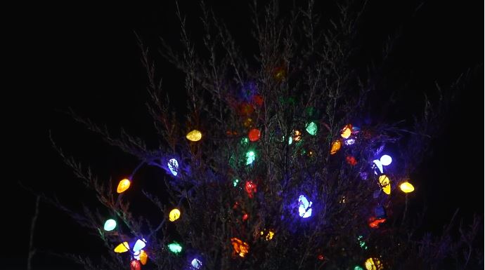 A Christmas tradition nearly three decades in the making continued despite an act of vandalism that forced organizers to completely reimagine their annual celebration.