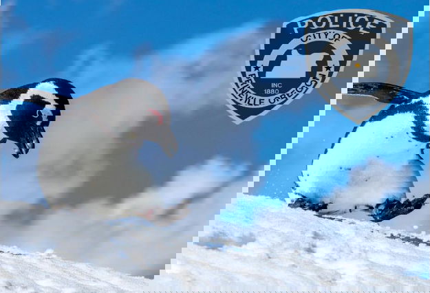 Prineville Police have a suggestion on how to safely travel those icy winter sidewalks