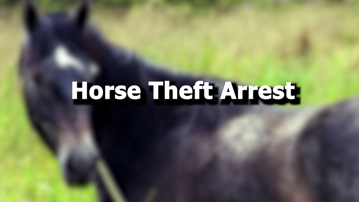 Two arrested on suspicion of stealing horse in Thermal