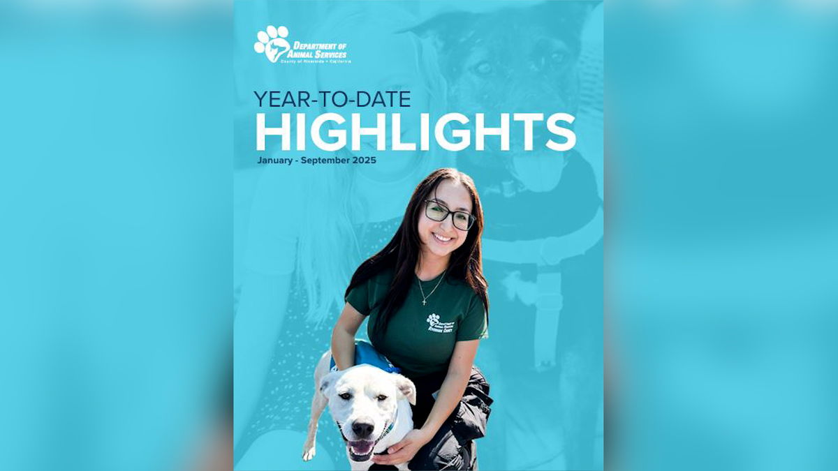 RivCo Animal Services reports major lifesaving gains in latest quarterly report