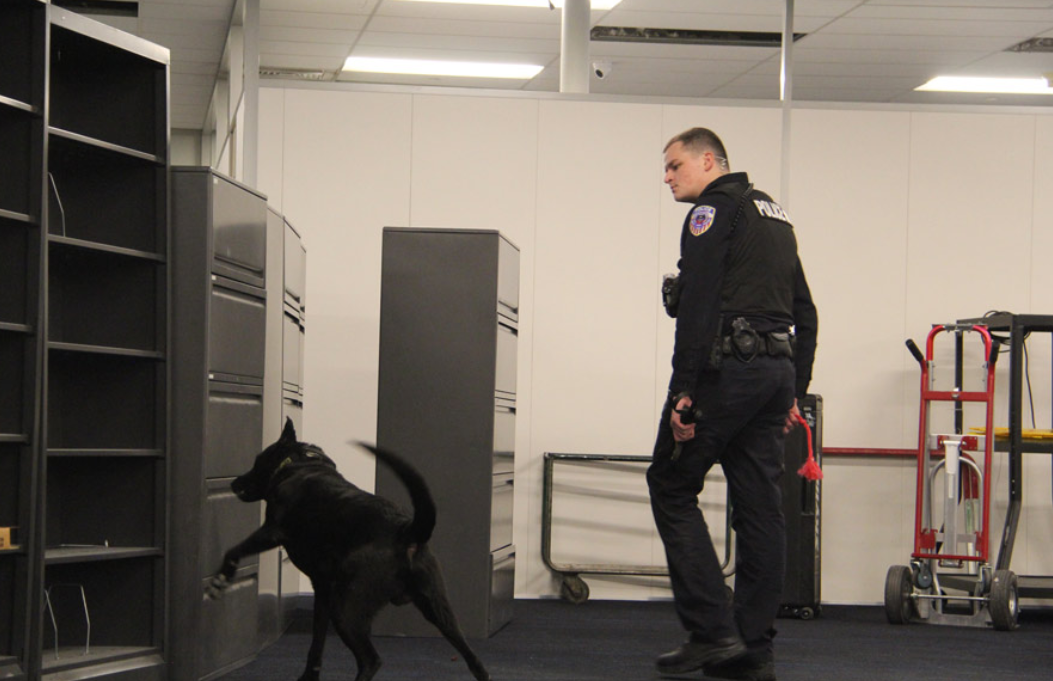 Blackfoot Police Officer Kyle Pentrack watches on while K9 Jett searches for fentanyl.