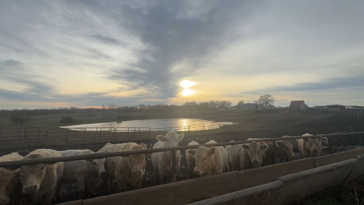 Local farmer reacts to Trump Administration $12 billion farm aid package