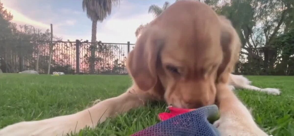 “It was pretty small