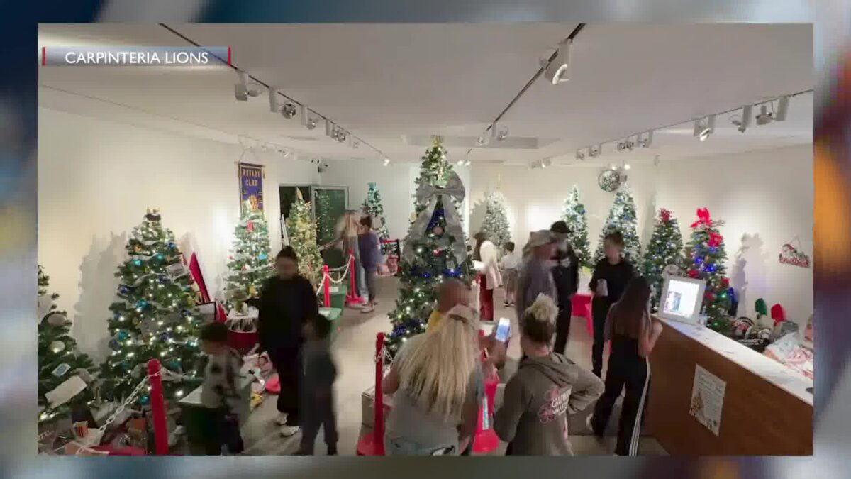 Festival of Trees Raffle Could Win You Thousands of Dollars in Gifts