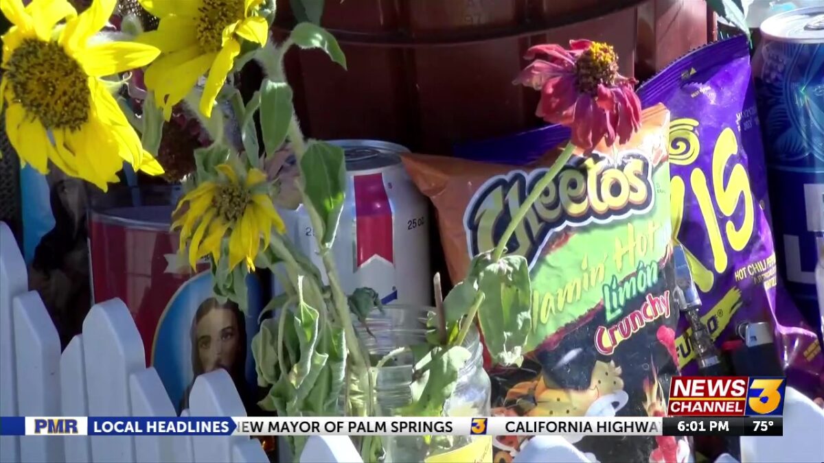 Family of skateboarder killed in crash speaks out