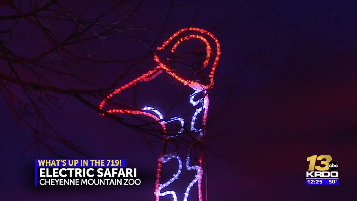New sculptures debut at Cheyenne Mountain Zoo ‘Electric Safari’ light show