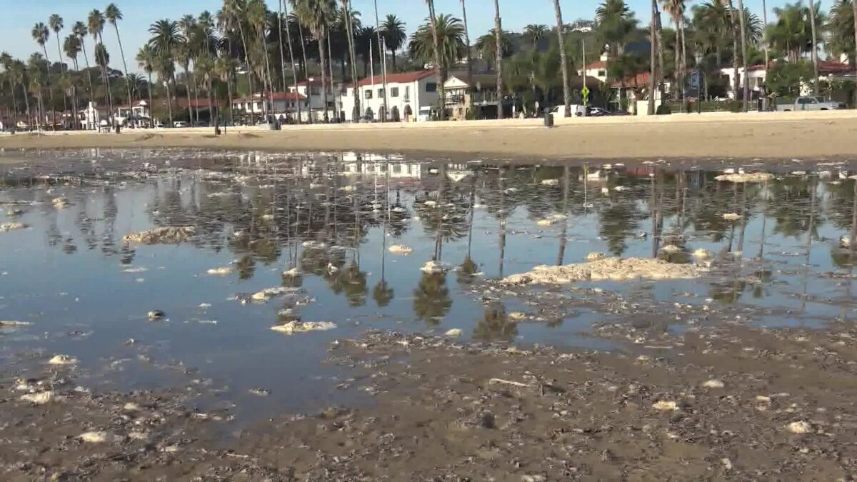 King Tides Arrive on the Central Coast
