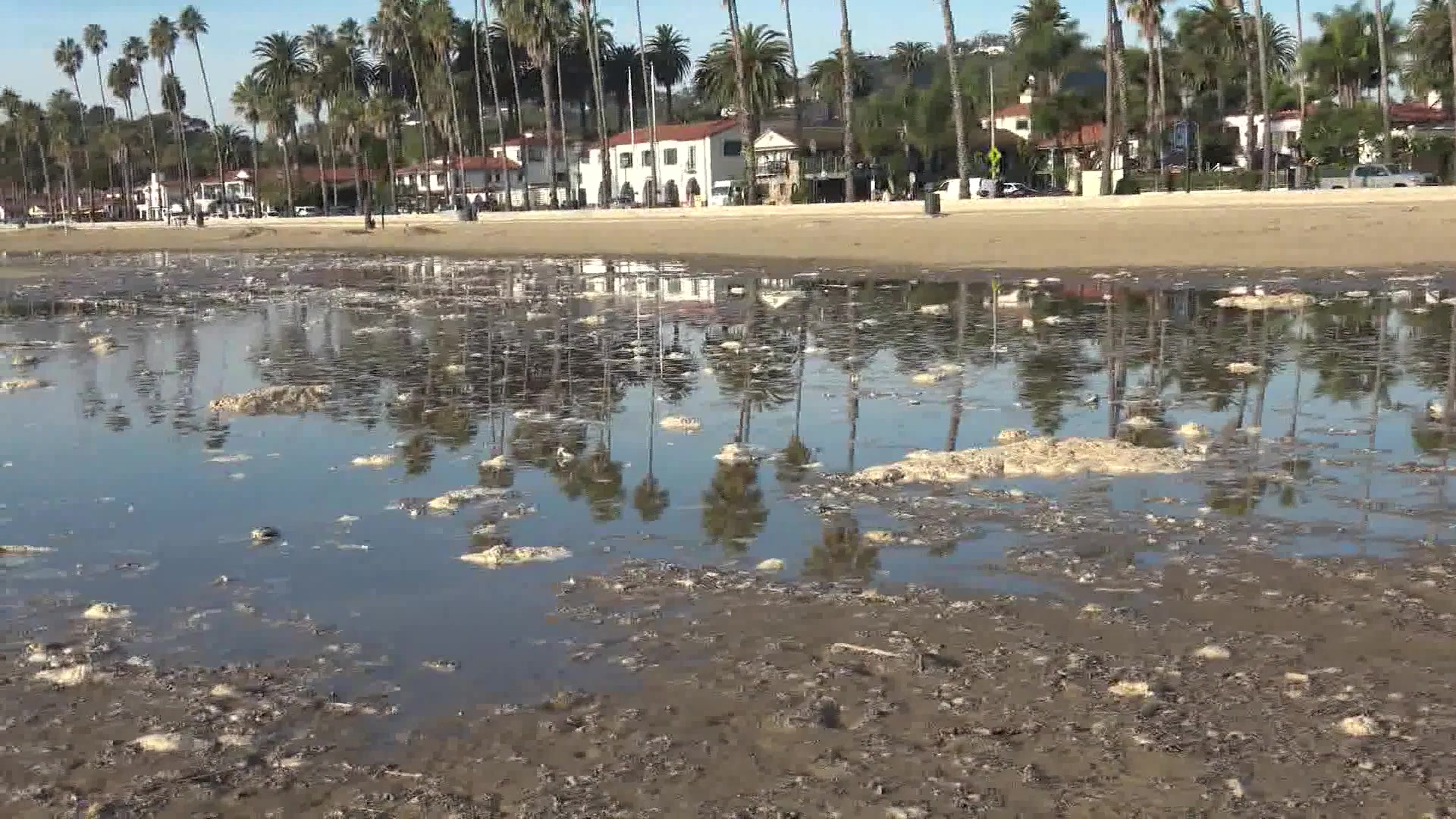 King Tides Arrive on the Central Coast