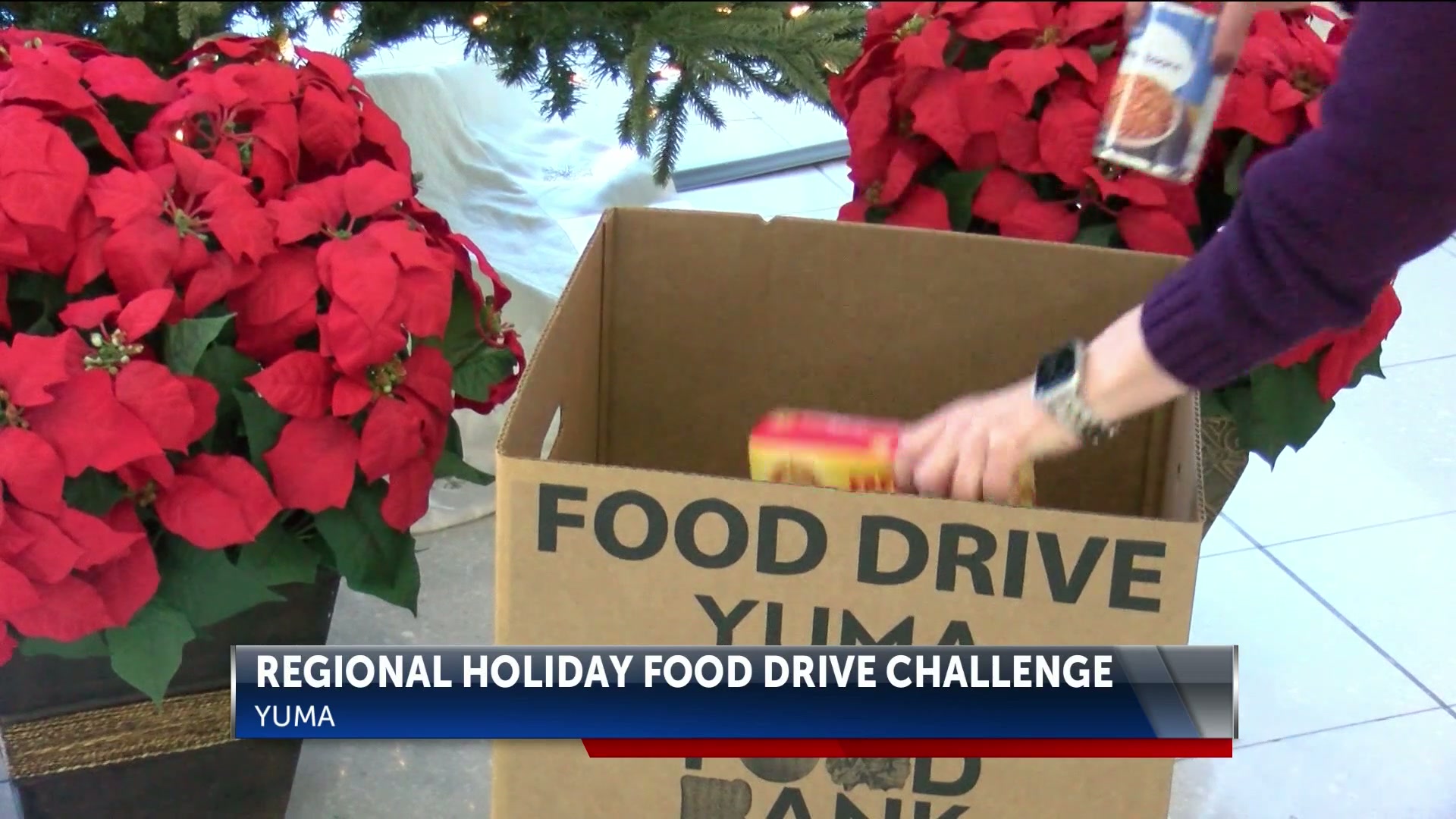City of Yuma launches regional holiday food drive challenge