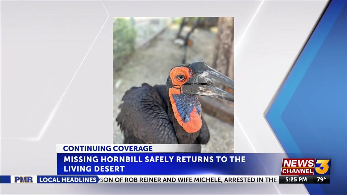 Missing bird safely returns to the Living Desert