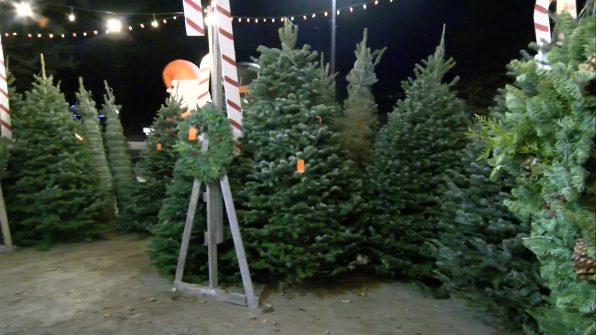 It’s Christmas time