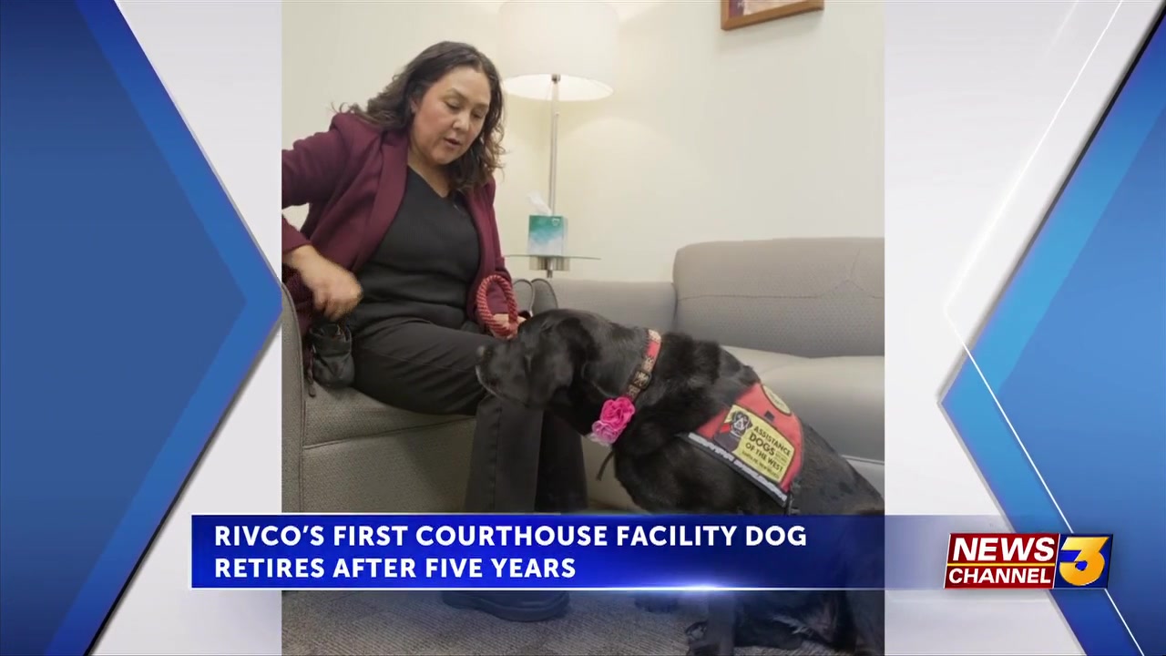 Riverside County’s first courthouse facility dog retires after five years of service