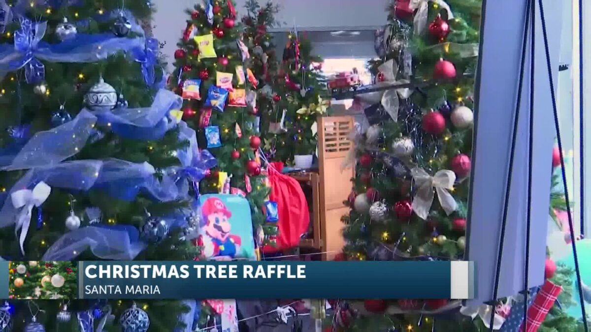 Magical Christmas Forest Gives Back to Santa Maria Students & Community This Holiday Season