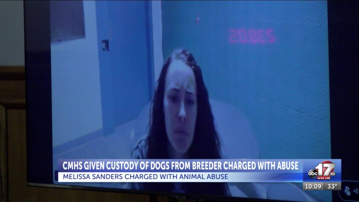 CMHS given custody of dogs from breeder who is charged with animal abuse
