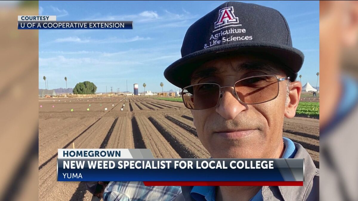 University of Arizona Cooperative Extension has new weed specialist