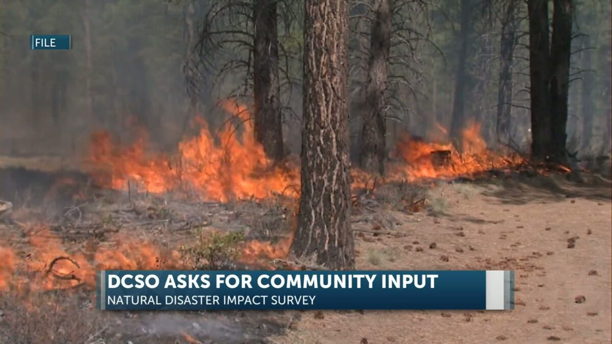 DCSO asks for public participation in natural disaster impact survey