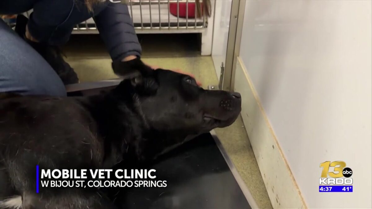 Veterinarian cares for dying dog for free after woman brings him to mobile clinic