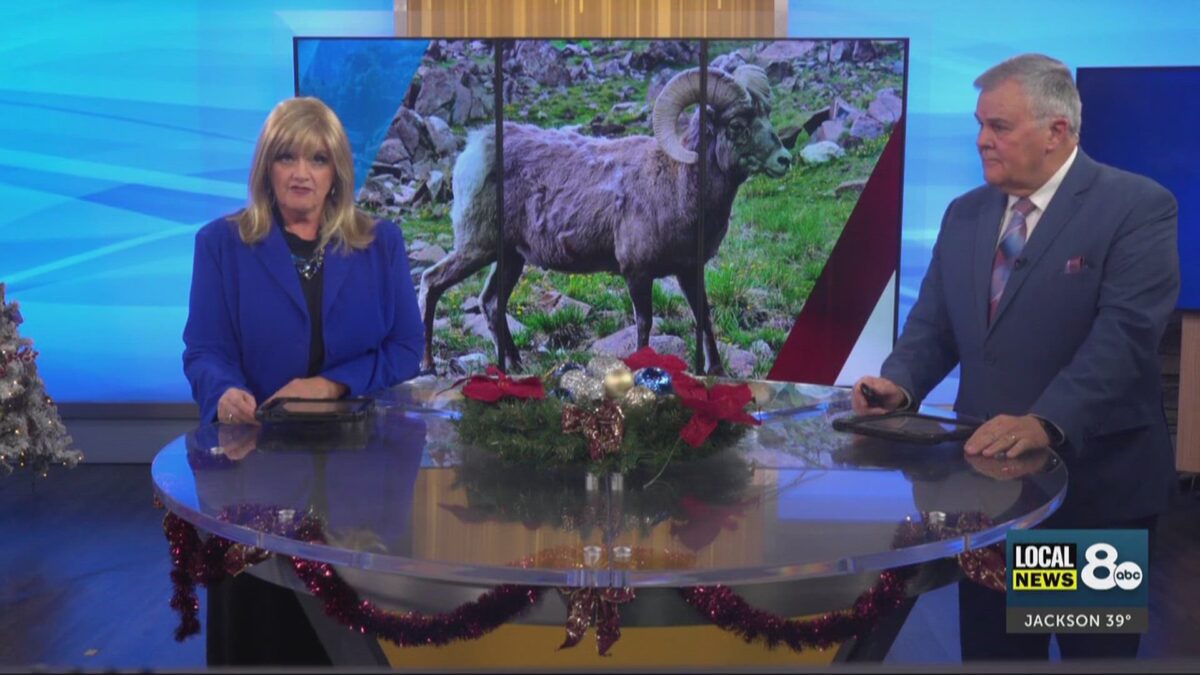 Challis outfitters receive combined 6 Years probation