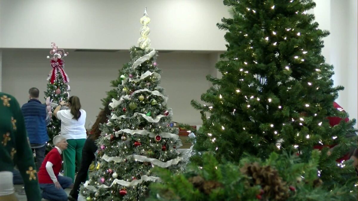 ‘It’s all about community’: Festival of Trees brings families together to honor loved ones