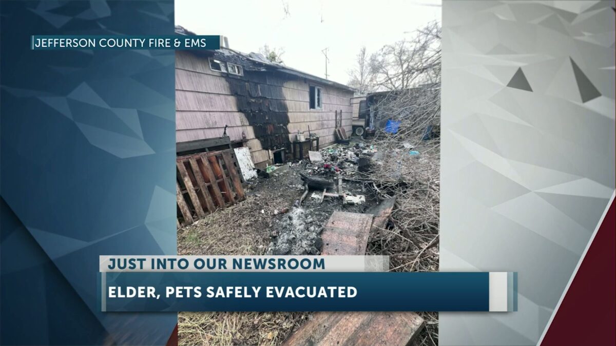 Firefighters rescue elderly resident and pets in Madras house fire