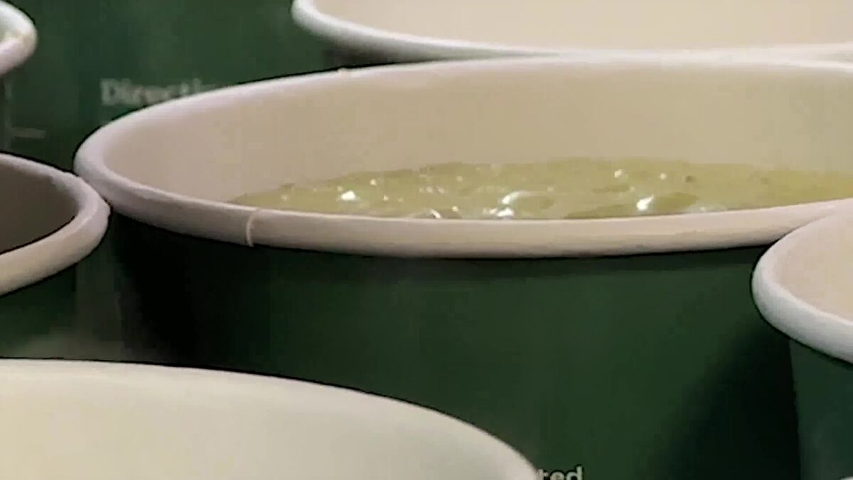 Organic Soup Kichen Waitlist Explodes in Santa Barbara