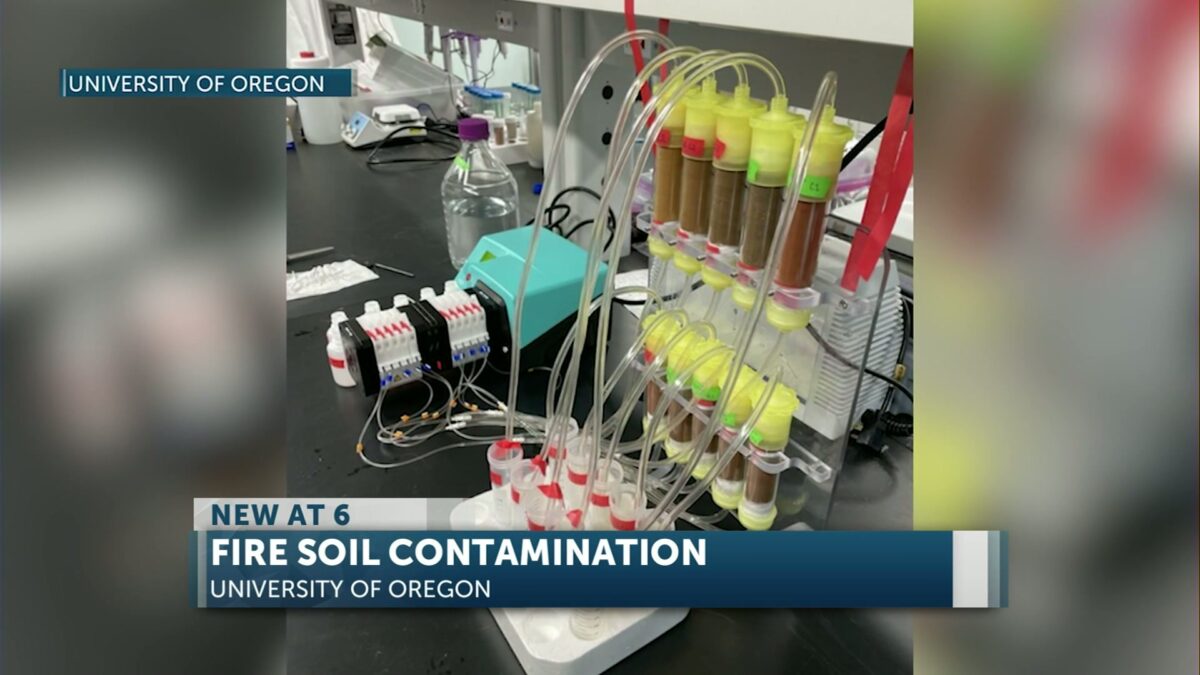 UO Study finds wildfires can turn soil nutrients into toxic metals