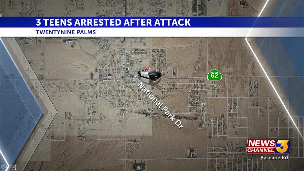 Teens accused of attacking man with intellectual disability