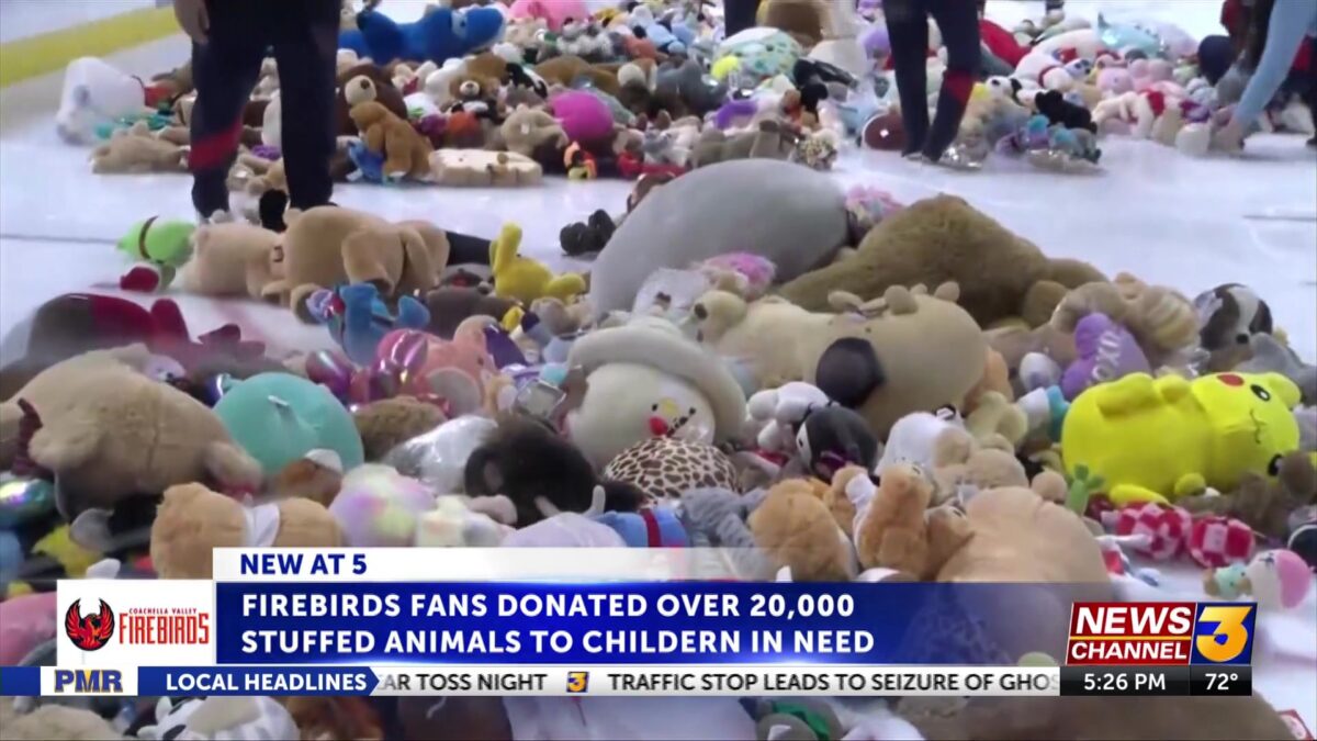 Fans toss over 20K stuffed animals during CV Firebirds Teddy Bear Toss Night