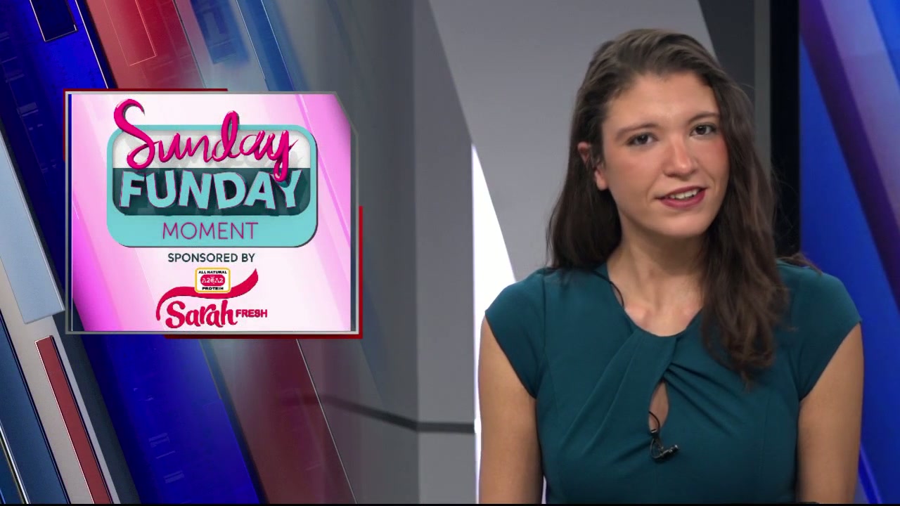 Sun City Sawdust DIY Studio