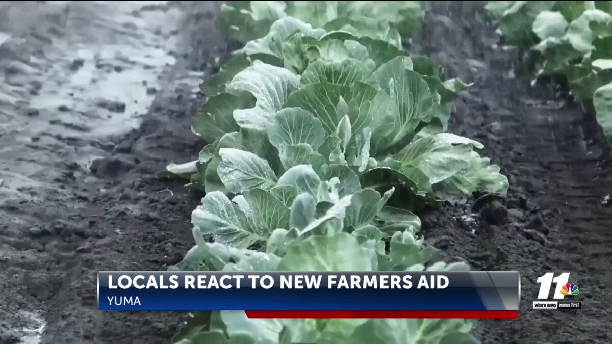 Locals react to White House’s $12B contribution to farmers