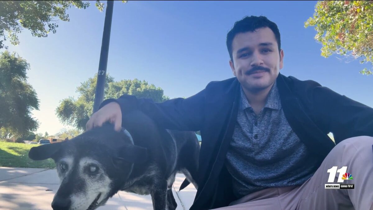 Man rescues blind dog after finding him abandoned near lake